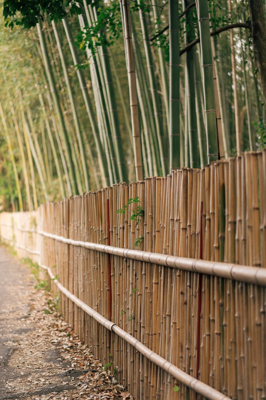 Serene Japanese garden pavilion